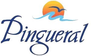 logo pingueral